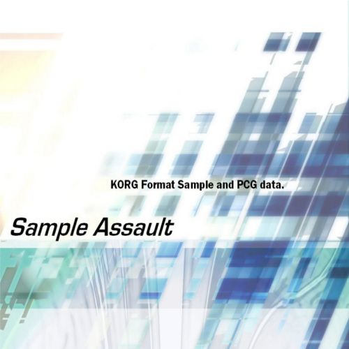 Sample Assault